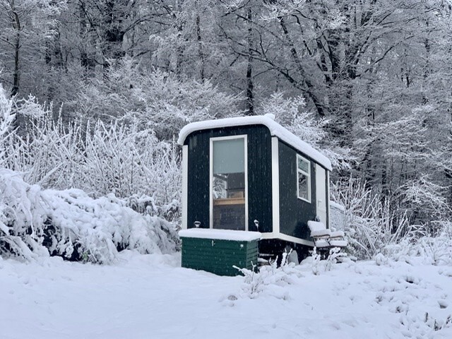 Kleines grünes Häuschen im verschneiten Wald mit Bank davor.