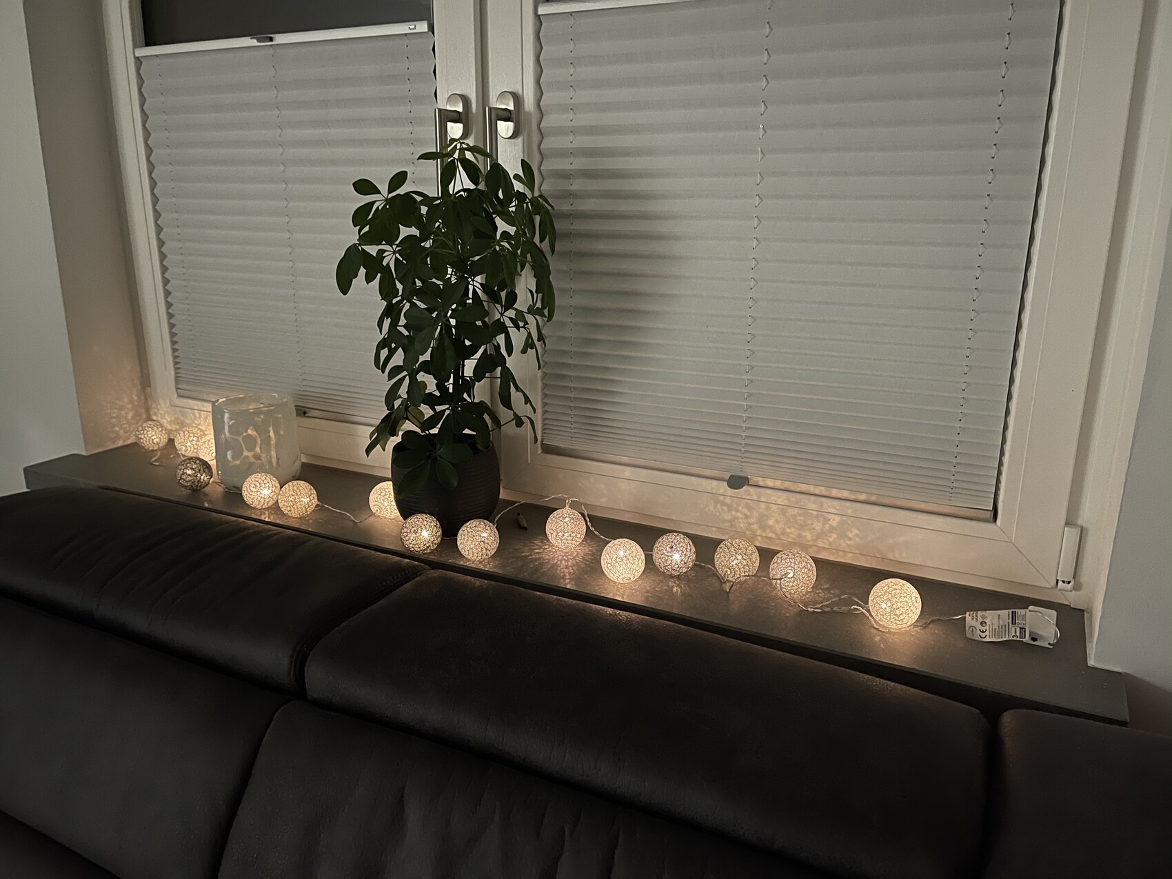 Pflanze auf Fensterbank mit warmer Kugel-Lichterkette neben schwarzer Ledercouch.