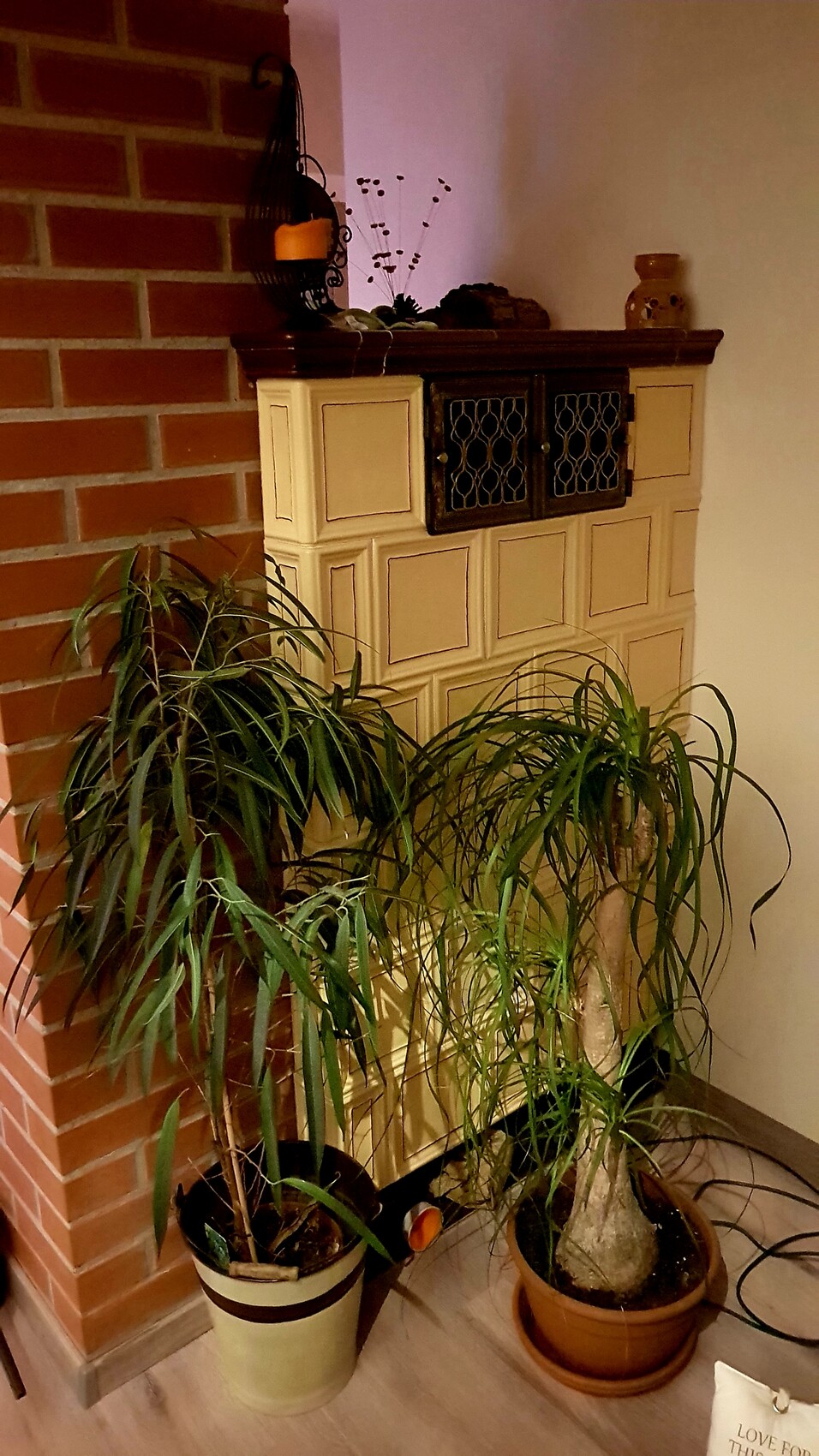 Wohnzimmer mit Vintage-Holzschrank und zwei großen Zimmerpflanzen vor Backsteinwand.