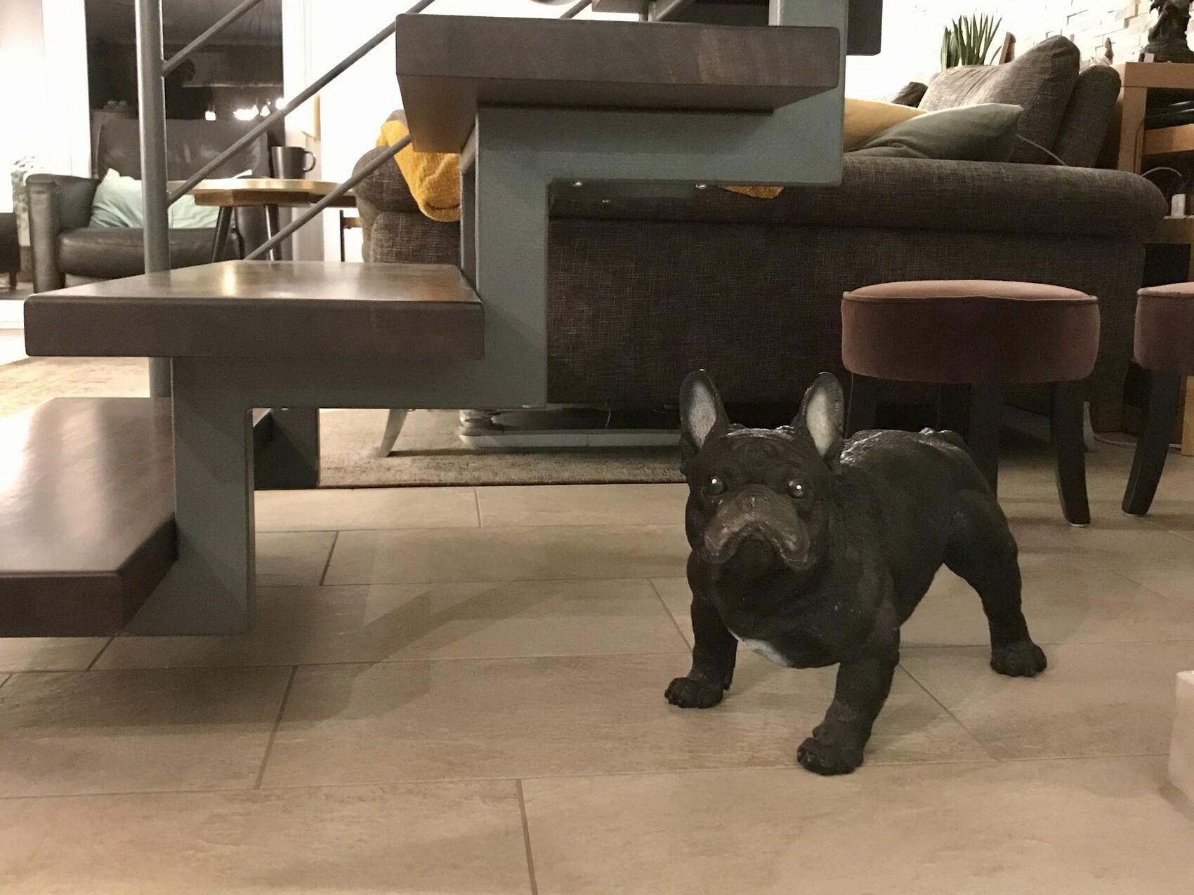 Kleine Französische Bulldogge steht im Wohnzimmer vor einer Treppe mit offenen Stufen und Sofa