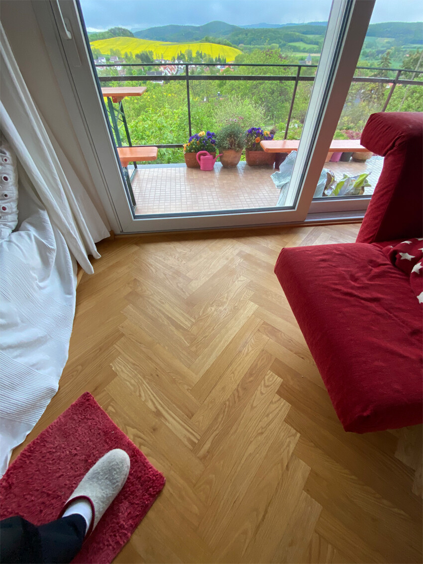 Wohnzimmer mit Balkonblick: roter Sessel, Holzboden, Blumen vor Glasfront und grünem Hügelpanorama.
