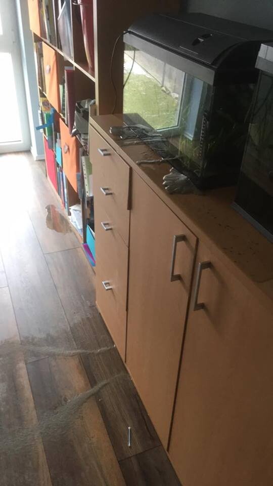 Wohnzimmer mit Holzregal, Aquarium auf Holzschrank, bunte Aufbewahrungsboxen.