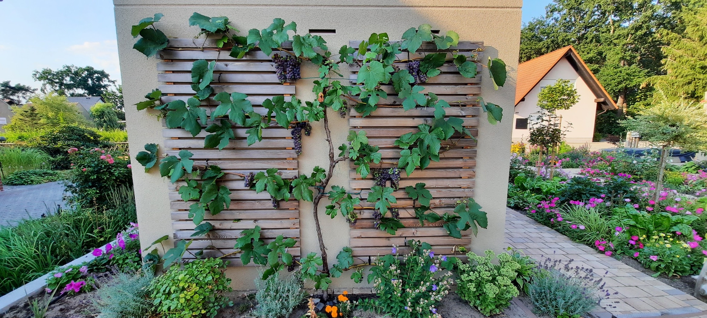 ᐅ Womit schmales Beet entlang einer Garage bepflanzen?