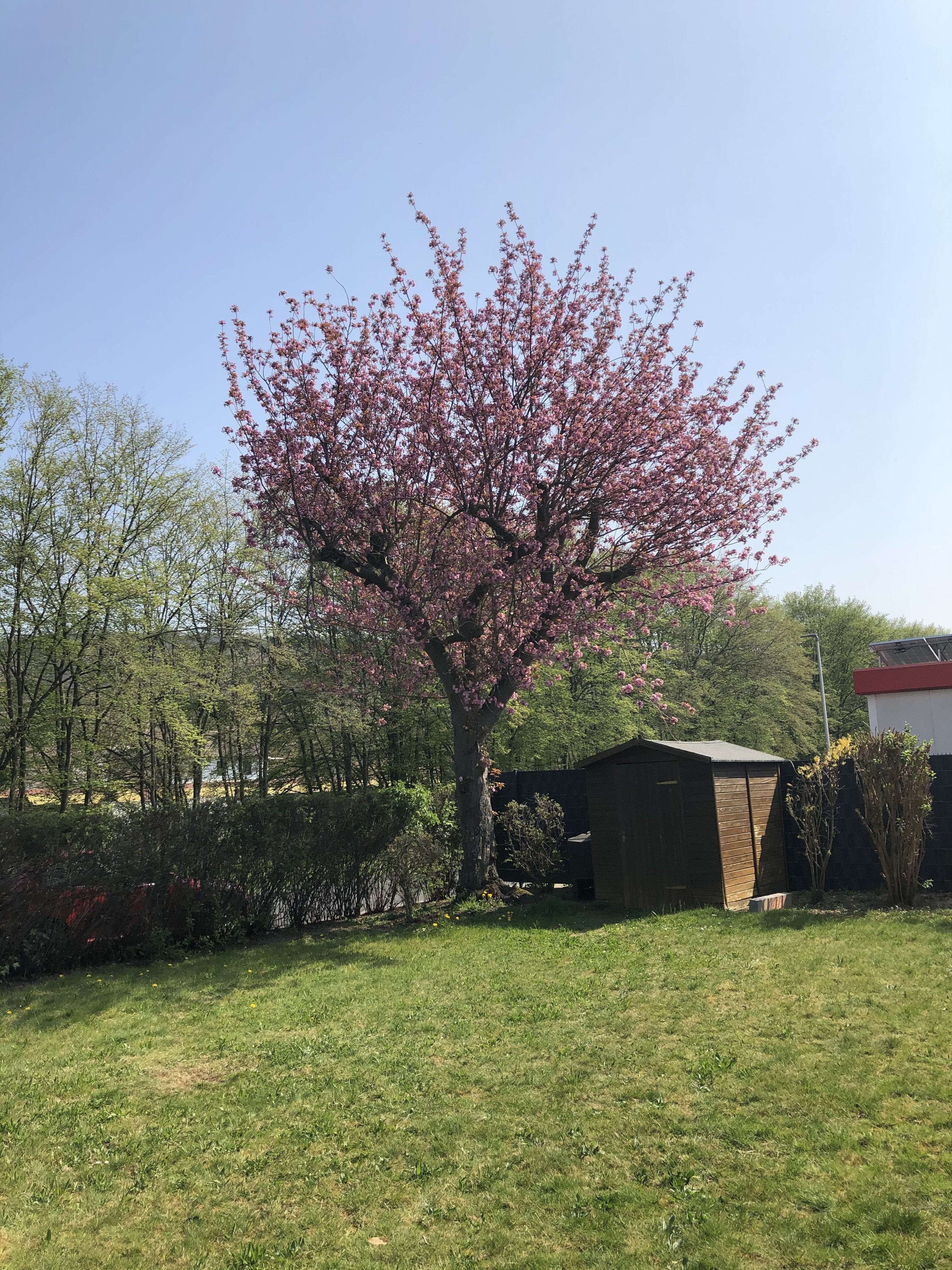 zeigt-her-eure-grundstuecksbilder-397908-1.jpeg