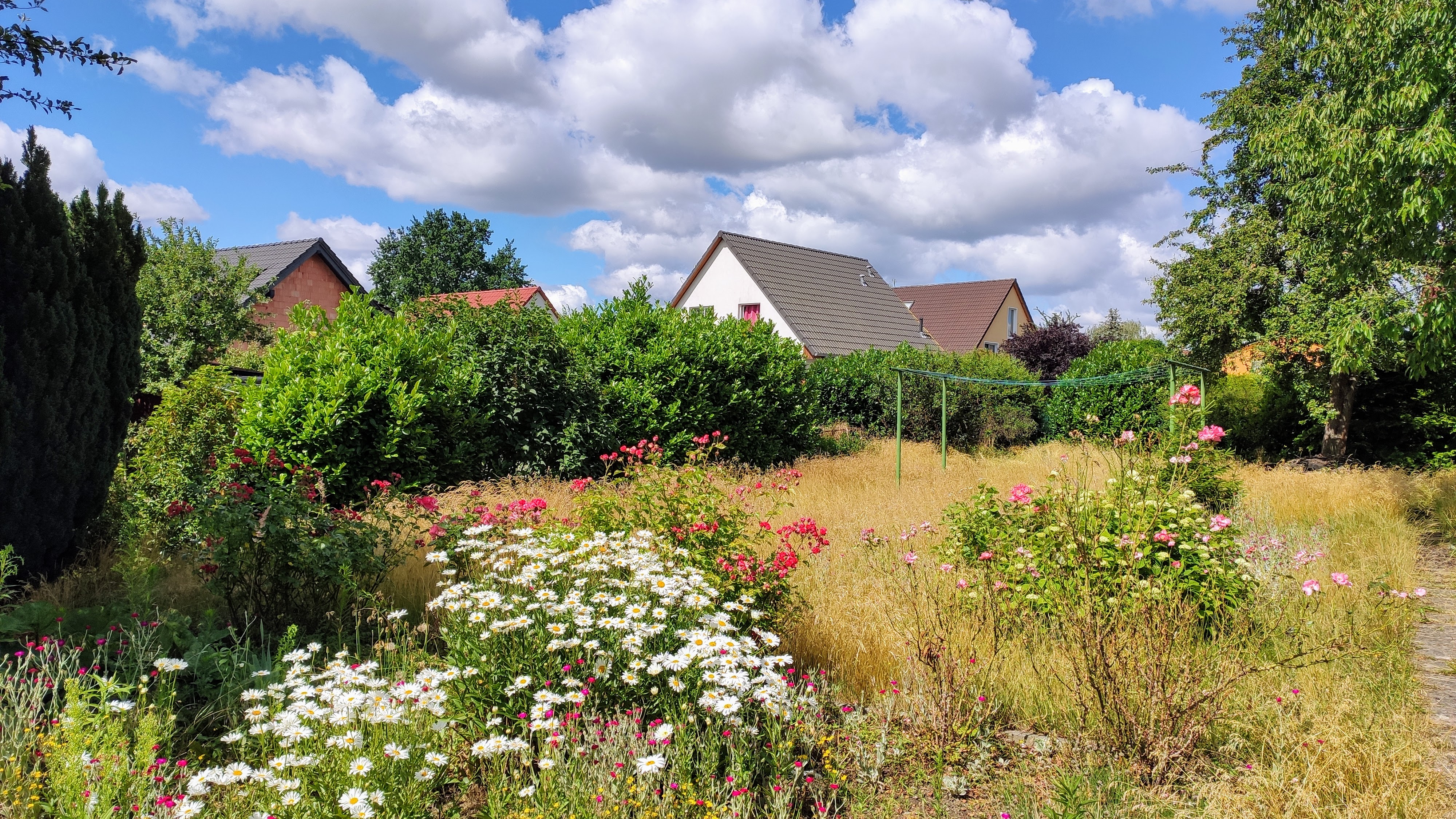 zeigt-her-eure-grundstuecksbilder-424842-2.jpg