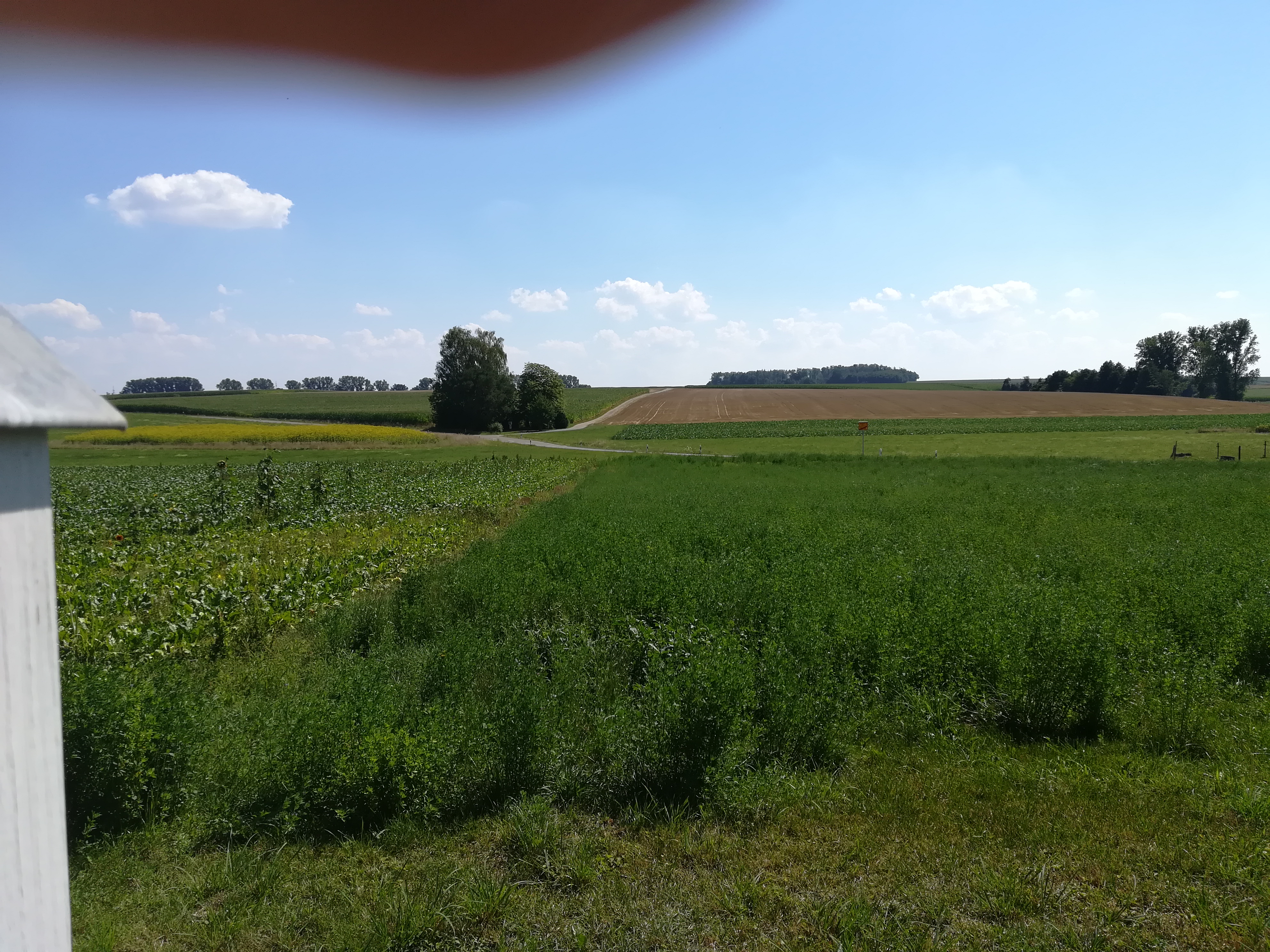 zeigt-her-eure-grundstuecksbilder-425280-3.jpg
