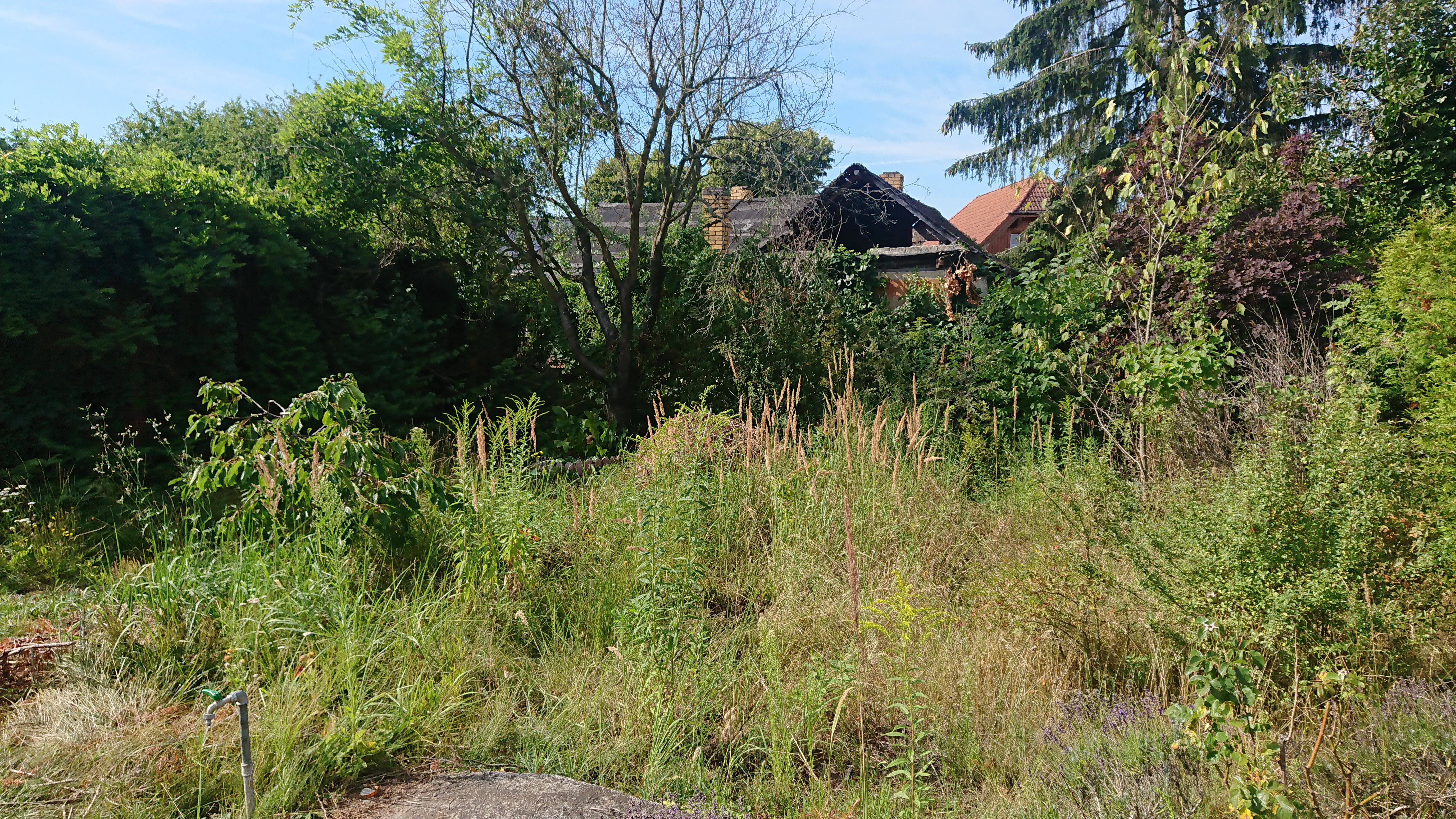 zisterne-direkt-an-baustrasse-gefahr-eines-schadens-445127-4.JPG