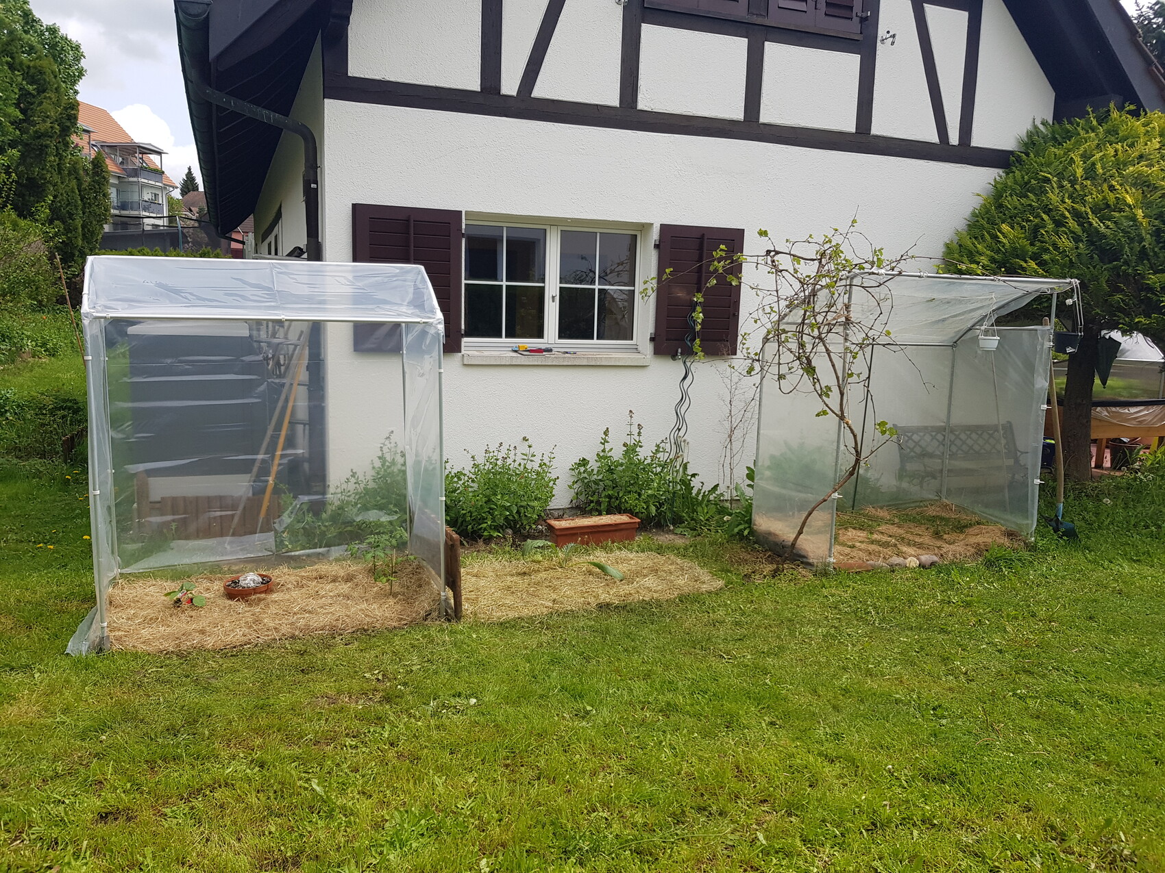 Zwei klare Garten-Gewächshäuser stehen vor einem weißen Fachwerkhaus mit Garten.