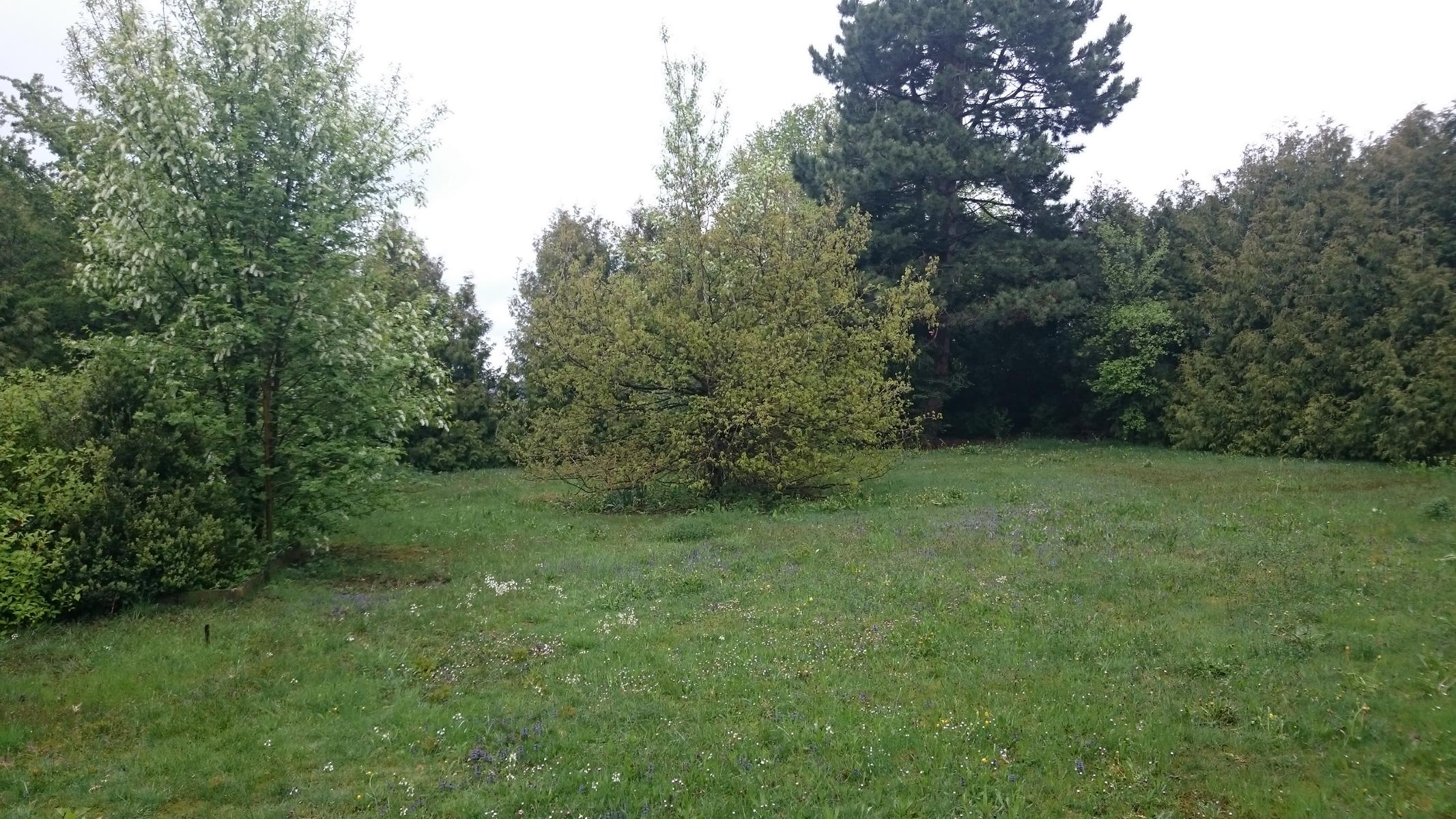 zweifamilienhaus-bj-64-renovierungskosten-uebersicht-234075-3.JPG