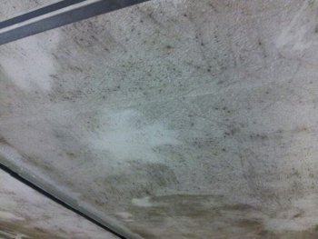 ᐅ Garagen Problem Schimmel An Der Decke Erfahrungen Von Bauherren Und Bauexperten