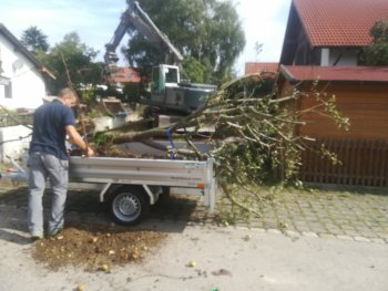 haus-bilderthread-zeigt-her-eure-hausbilder-279811-1.jpg