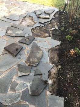 ᐅ Schieferplatten auf Terrasse sind lose - wie ankleben und verfugen