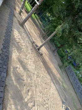 bunter-garten-plauder-bilder-thread-418558-4.jpeg