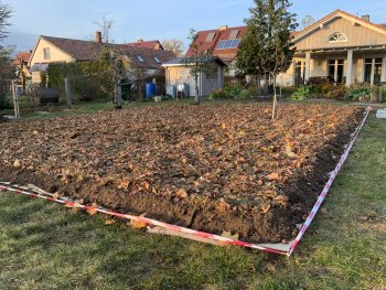 bunter-garten-plauder-bilder-thread-448316-3.jpeg