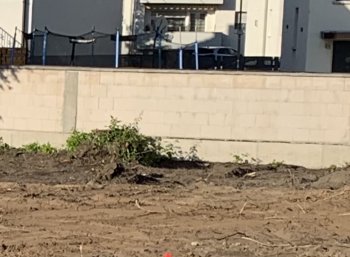 ᐅ Abdichtung Gartenmauer zum Nachbarn | Seite 2