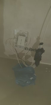 20191202_065311.jpg