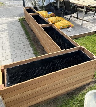 bunter-garten-plauder-bilder-thread-628291-1.jpg