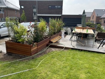 bunter-garten-plauder-bilder-thread-628528-2.jpg
