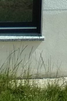 austritte-terrassentueren-und-aussenfensterbaenke-bodentiefe-fenster-630615-2.jpg