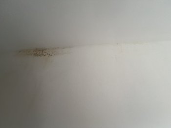schimmel-durch-rest-baufeuchte-oder-daemmungs-problem-670860-1.JPEG