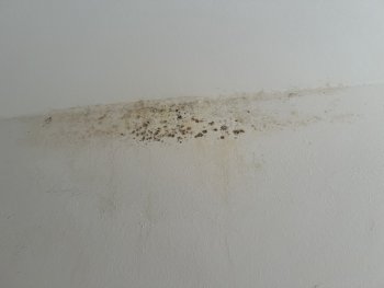 schimmel-durch-rest-baufeuchte-oder-daemmungs-problem-670860-2.JPEG