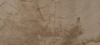 kellerwand-was-ist-hier-zu-tun-671780-4.jpg