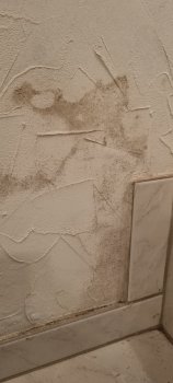 kellerwand-was-ist-hier-zu-tun-671780-5.jpg