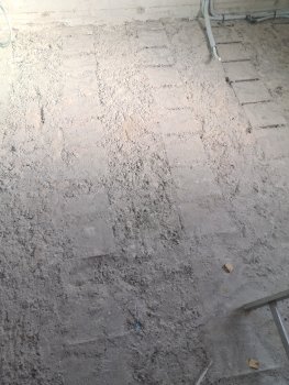20250306_144241.jpg