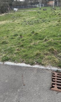 IMG_1496.jpeg