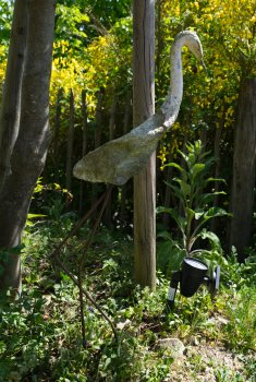 L1030632_Reiher-im-Garten_1450x2160.jpg