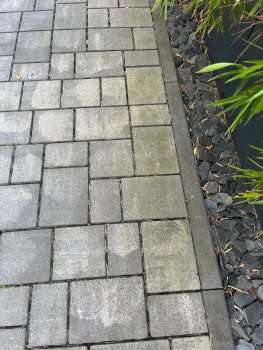 oekopflaster-welche-ideen-habt-ihr-688324-1.jpg
