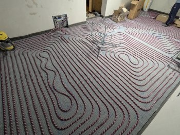 1000044300.jpg