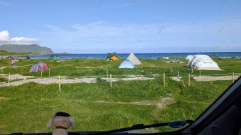 bunter-garten-plauder-bilder-thread-689859-2.jpg