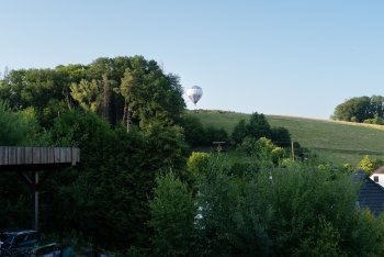 bunter-garten-plauder-bilder-thread-690298-2.jpg