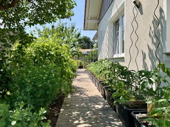 bunter-garten-plauder-bilder-thread-690340-2.jpeg