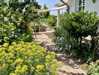 bunter-garten-plauder-bilder-thread-690340-3.jpeg