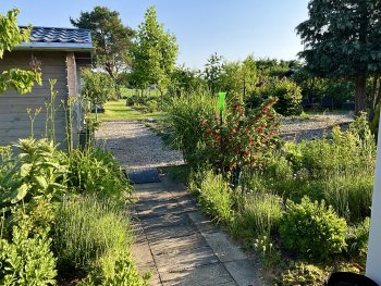 bunter-garten-plauder-bilder-thread-690340-5.jpeg