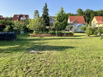 bunter-garten-plauder-bilder-thread-690340-8.jpeg