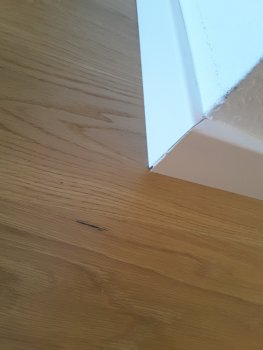 20250628_192352.jpg