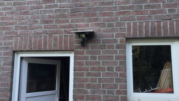 IMG_4036.jpeg