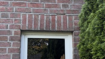 IMG_4037.jpeg