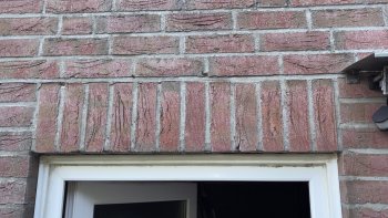 IMG_4038.jpeg