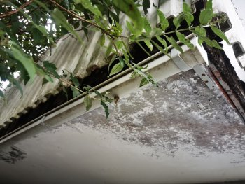 balkon-1975-sanierung-692537-4.jpg