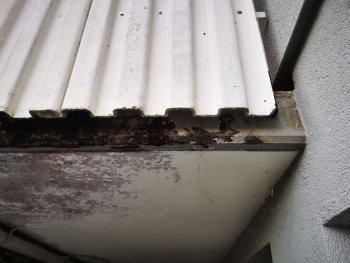 balkon-1975-sanierung-692537-5.jpg