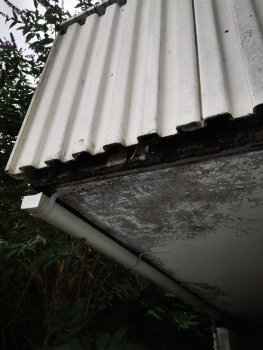 balkon-1975-sanierung-692537-10.jpg
