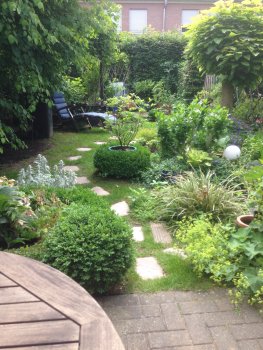 Kaarst_Garten_2014 - 1.jpeg