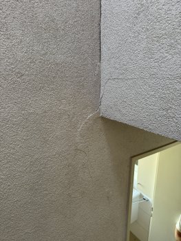 IMG_0346.JPEG