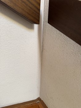 IMG_0353.JPEG