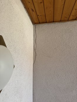 IMG_0355.JPEG