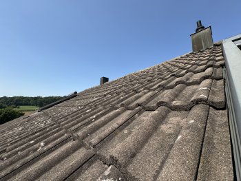 IMG_0368.JPEG